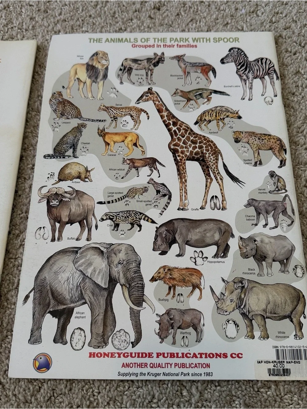 Kruger National Park gently used
